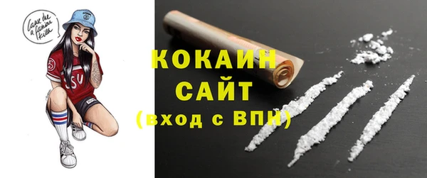 МДПВ Протвино