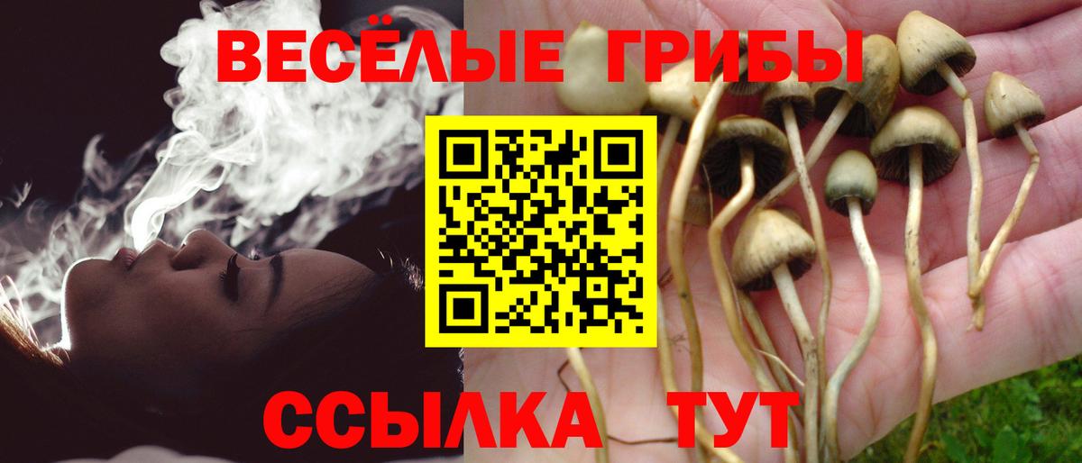 Галлюциногенные грибы прущие грибы Лесозаводск