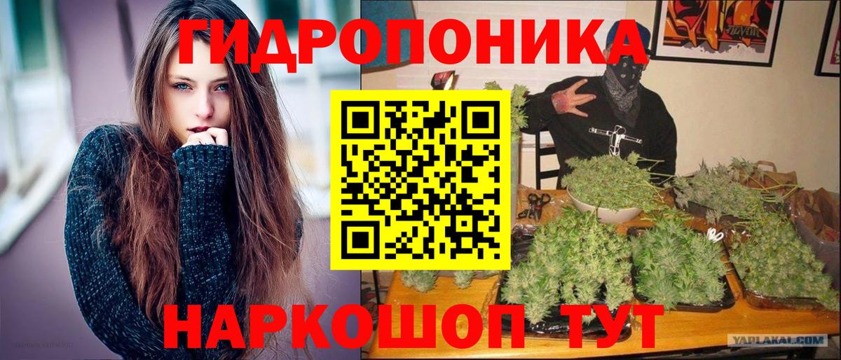 Шишки марихуана Bruce Banner  Бошки марихуана OG Kush  Лесозаводск  Шишки марихуана сатива  Вход с VPN 